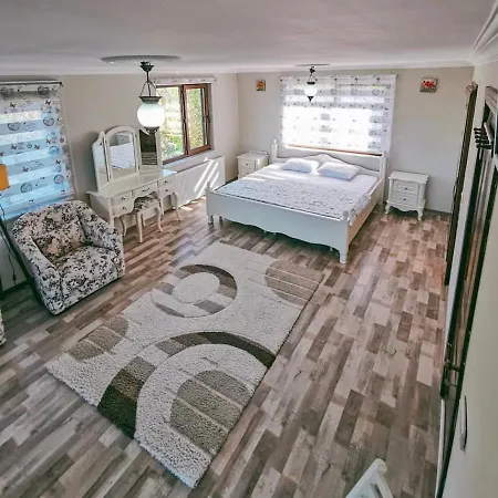 Fascinating With Private Pool In The Heart Of Nature In Sapanca Sakarya (Marmara)