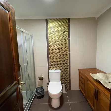 Fascinating With Private Pool In The Heart Of Nature In Sapanca Sakarya (Marmara)