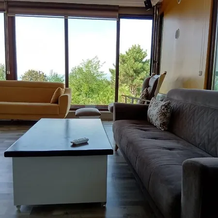 Fascinating With Private Pool In The Heart Of Nature In Sapanca Villa *